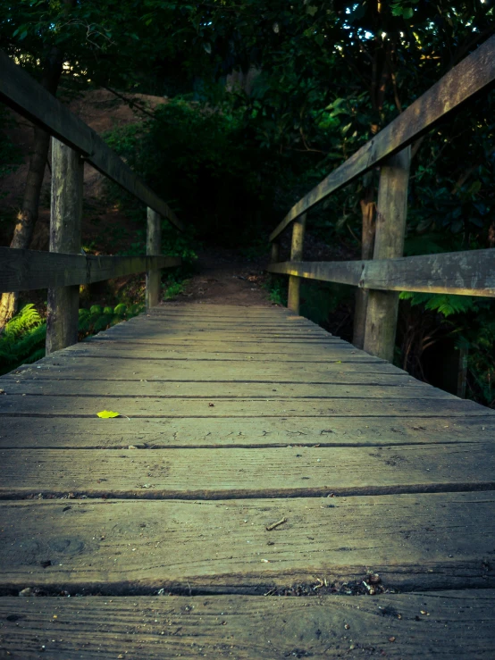 a boardwalk that has wooden poles and some plants