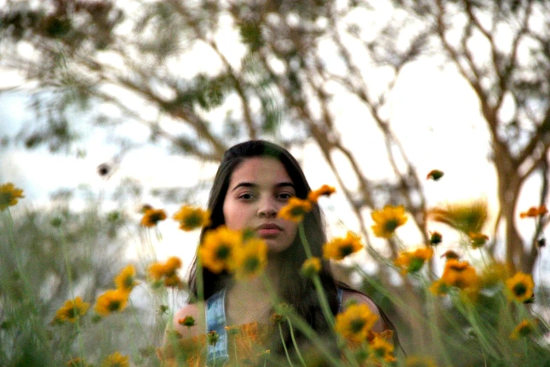 a  stands amongst yellow flowers