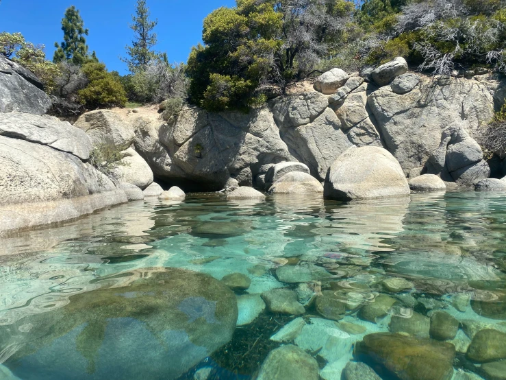 a shallow pool surrounded by rocks next to some trees