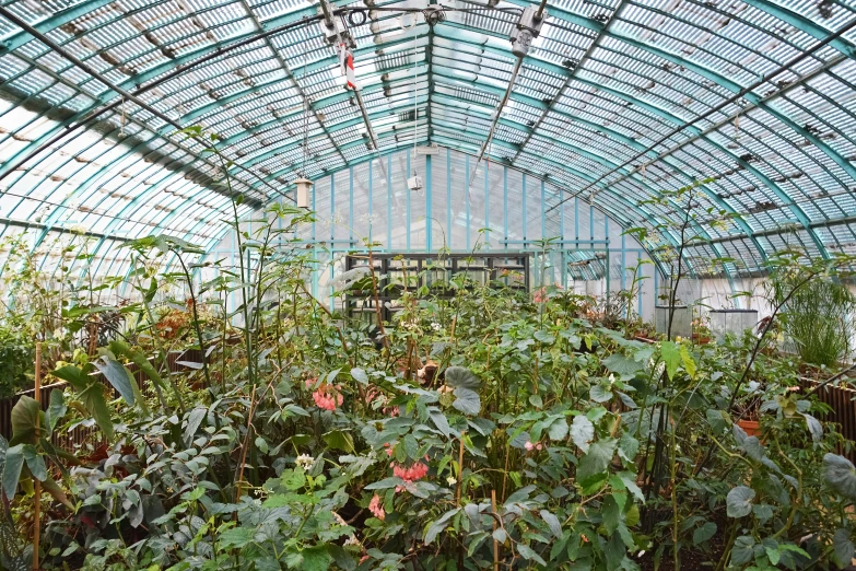 a greenhouse filled with lots of green plants