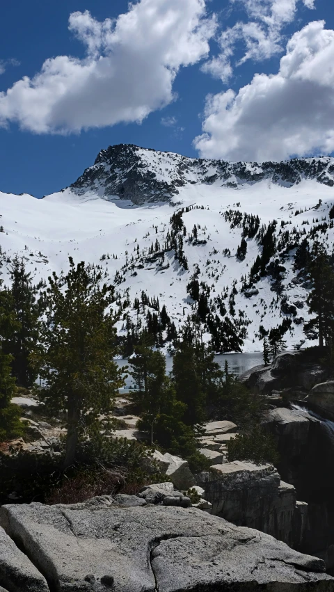 trees and rocks surrounded by snow and mountain in background