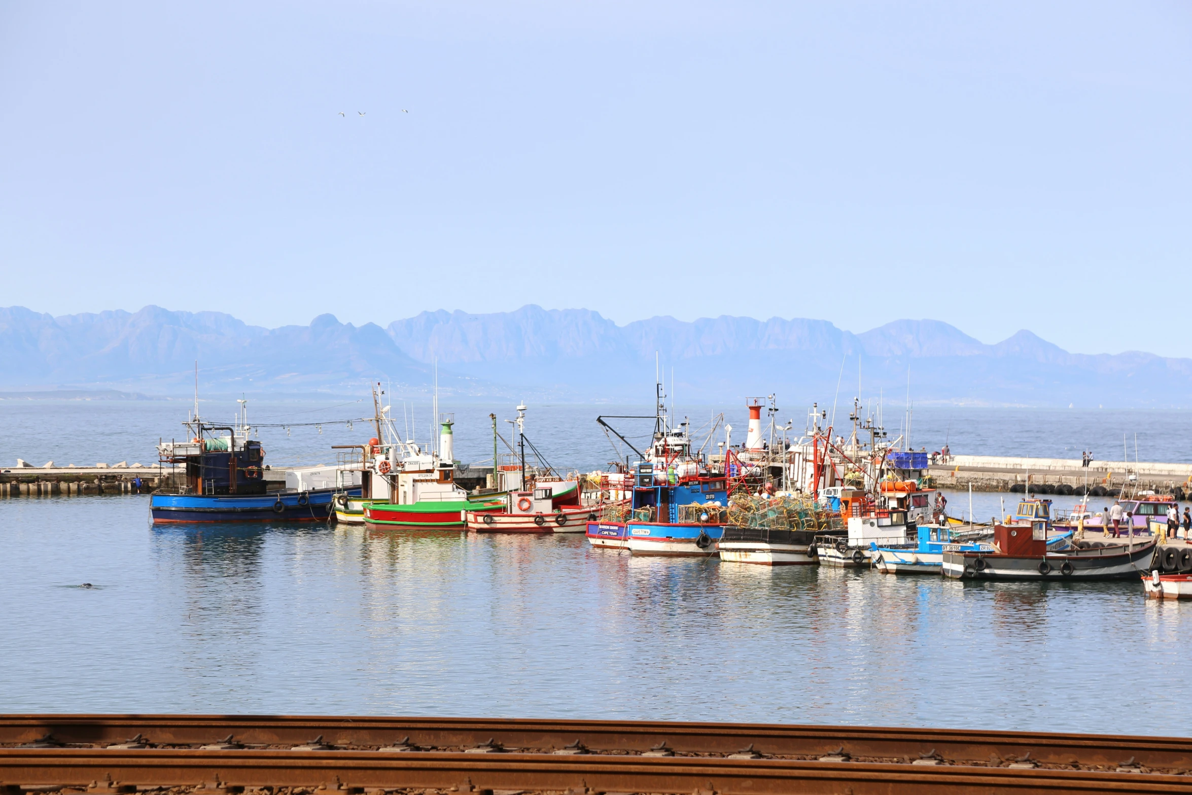 a bunch of boats are parked in the water