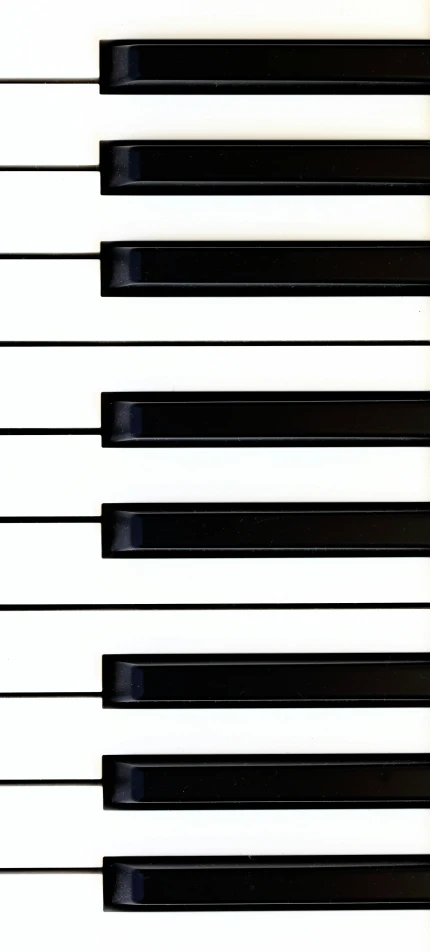 a sheet of black and white piano strings