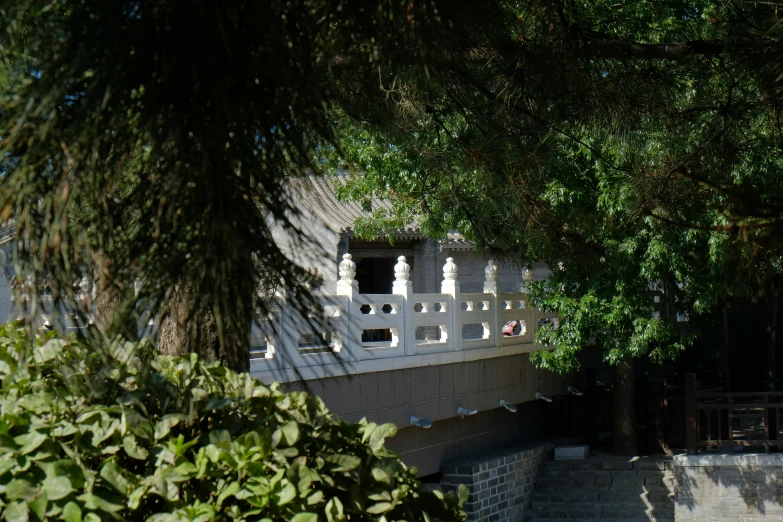 a white bridge going over trees on the other side