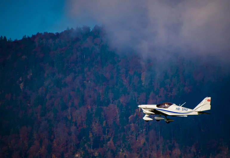 a small plane flying past trees on a cloudy day