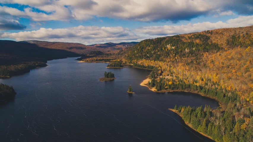 an aerial view of a lake in the forest