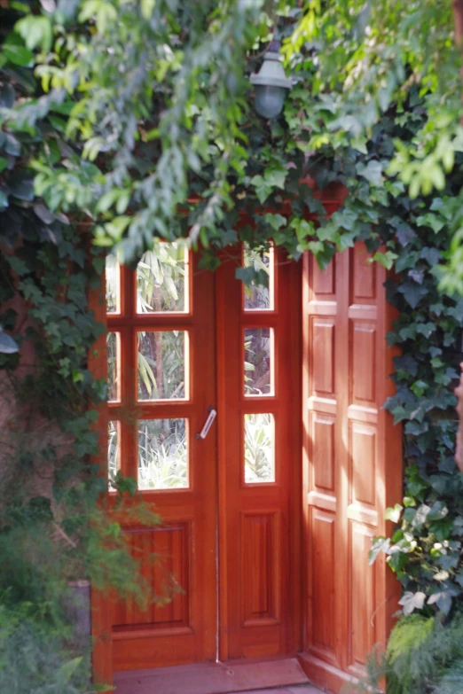 a door sitting between two windows in a wall