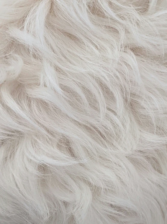 the surface of white and gray fur