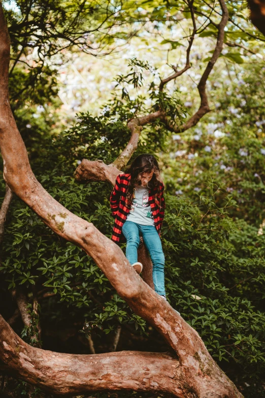 a woman sitting on top of a tree nch