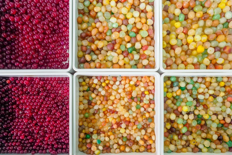 four containers of candy candy sitting in front of each other