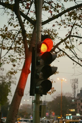 traffic light and trees at dusk on a crowded street