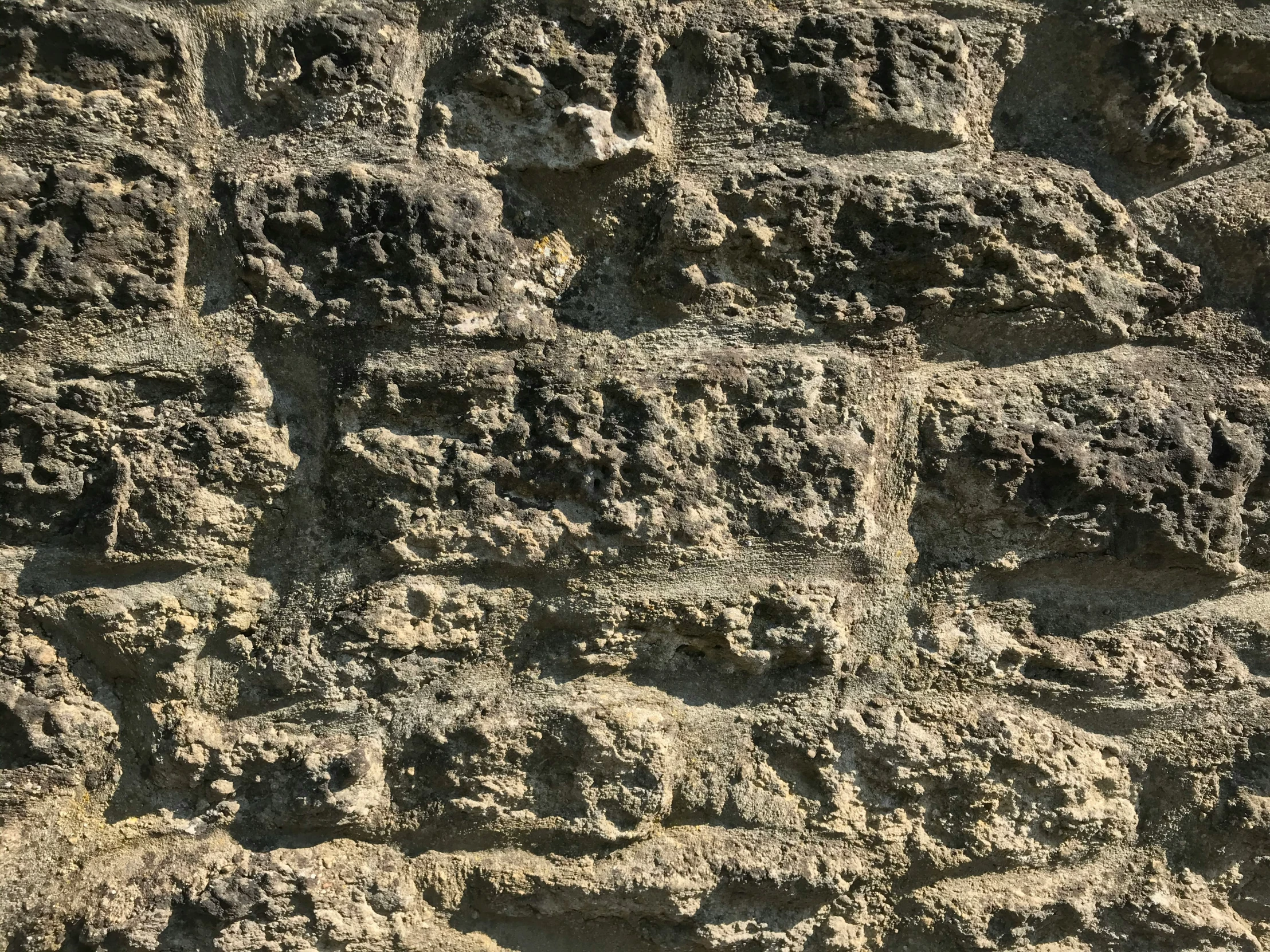 the side of a beach sand cliff with a number of holes