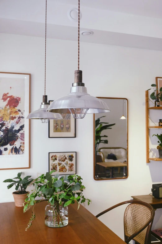 the light fixture hangs over the dining table in front of several plants