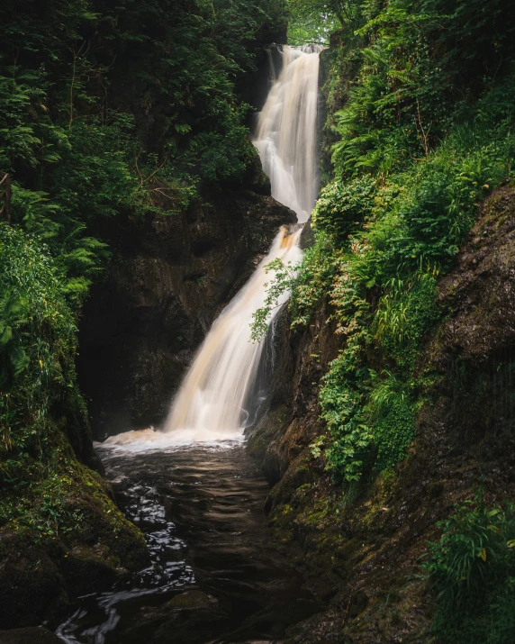 an image of a waterfall in the forest