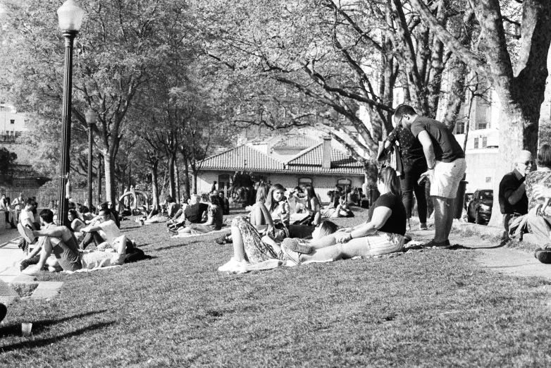 people sit around in the grass as they watch an elephant walk by