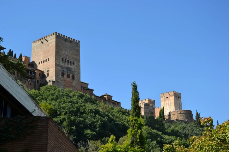 a castle with a tree growing on the side of it