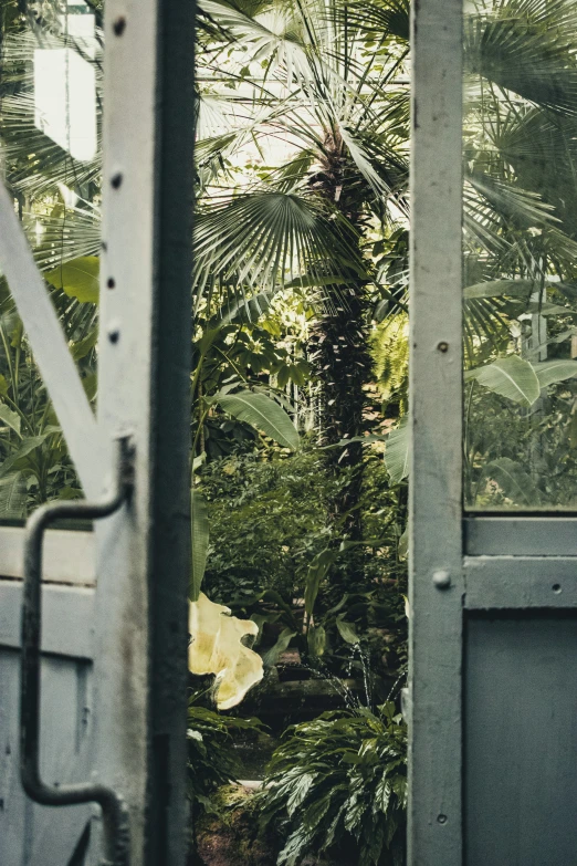 the inside of a building showing a view into trees and vegetation