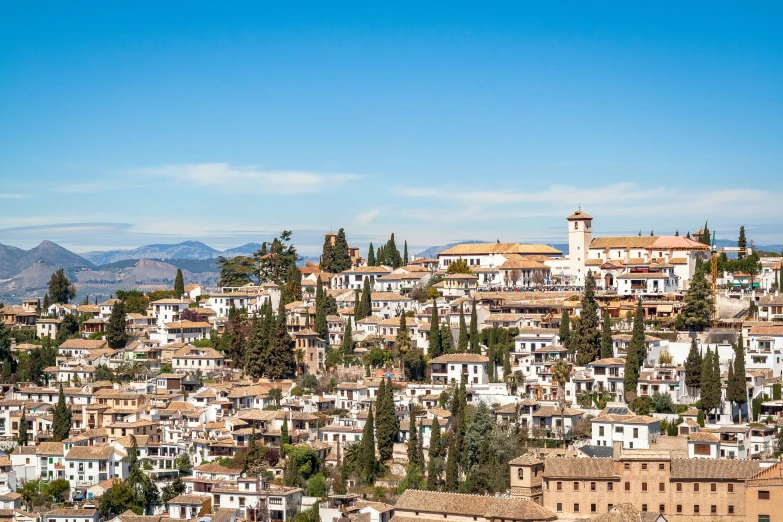 a city with buildings, pine trees, and mountains in the distance