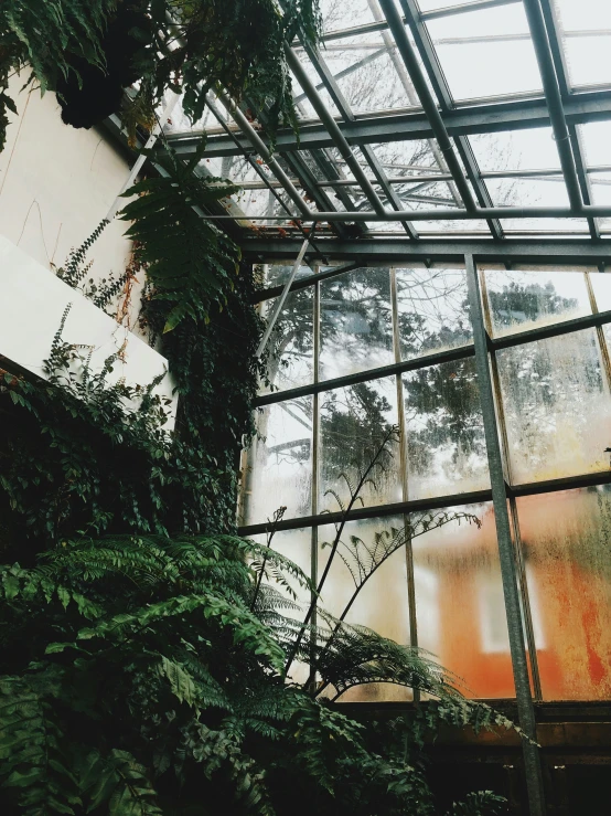 green plants hanging off the sides of a glass building