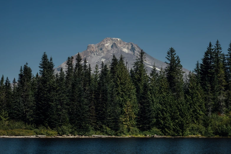 trees line the shore with mountains in the distance