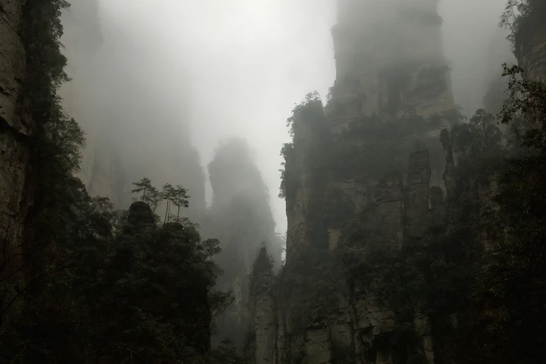 some mountains and trees that are on a foggy day