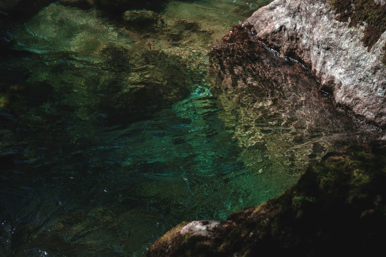 there is a small duck that is in some water