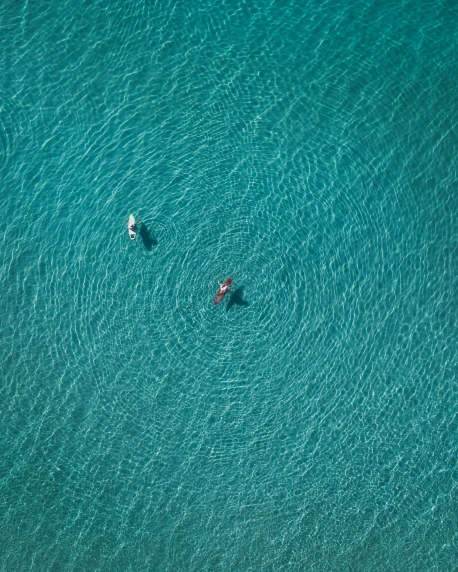 two surfers paddle boards on their boards on a body of water