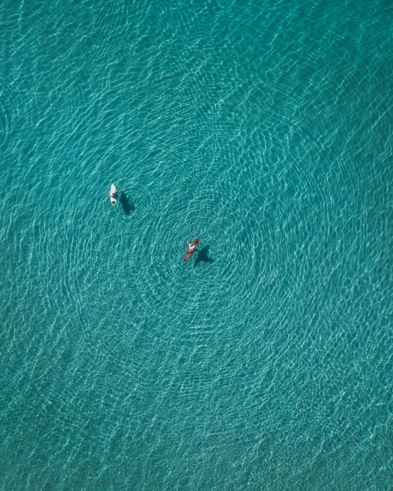 two surfers paddle boards on their boards on a body of water