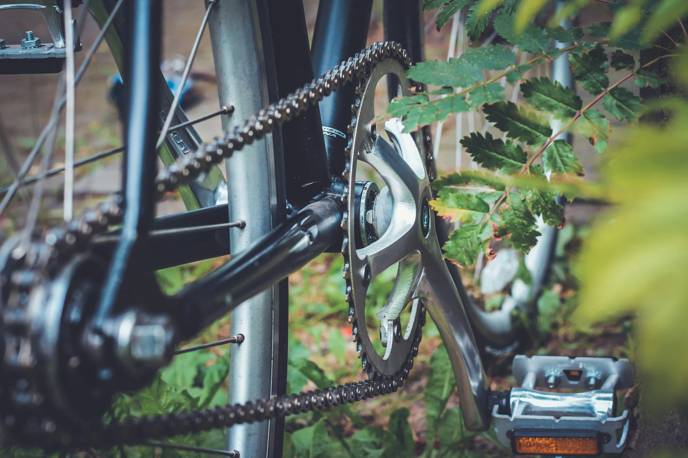 a bicycle sitting in the woods with its chain stays