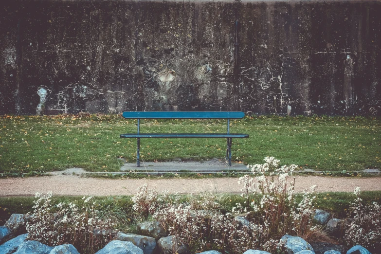 an empty blue park bench in front of grass and flowers