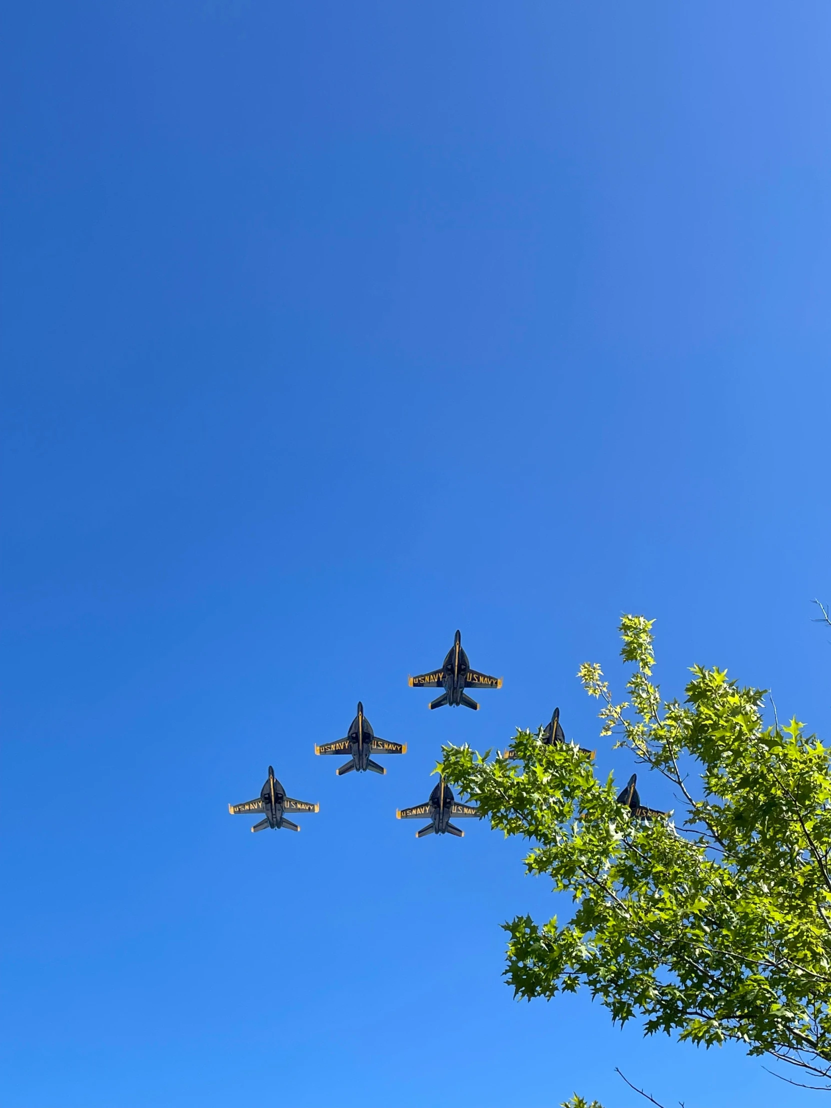 the jets are flying high over the trees