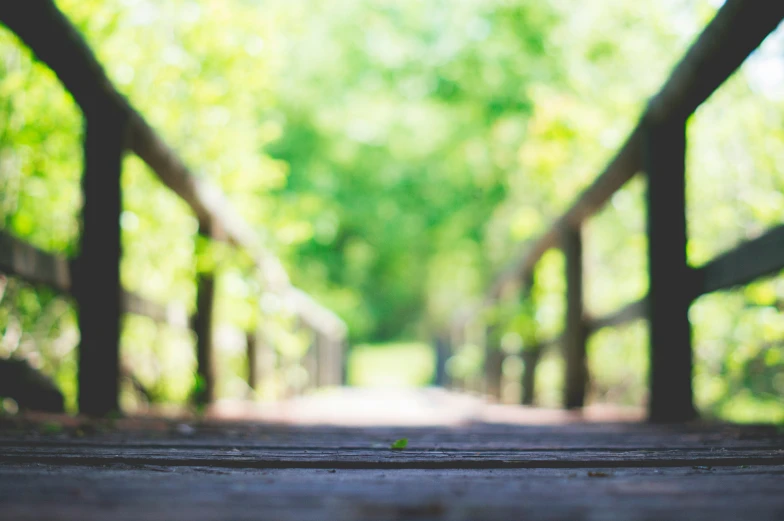 a wooden bridge with some trees in the background