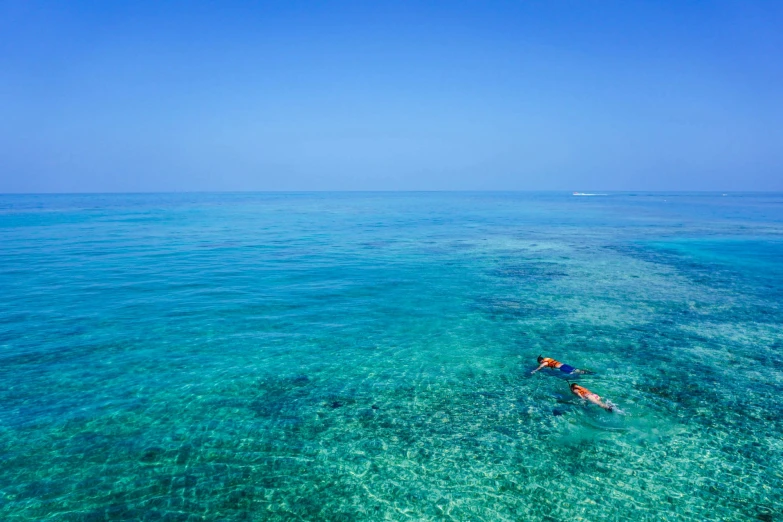 a person laying on a surfboard in the ocean