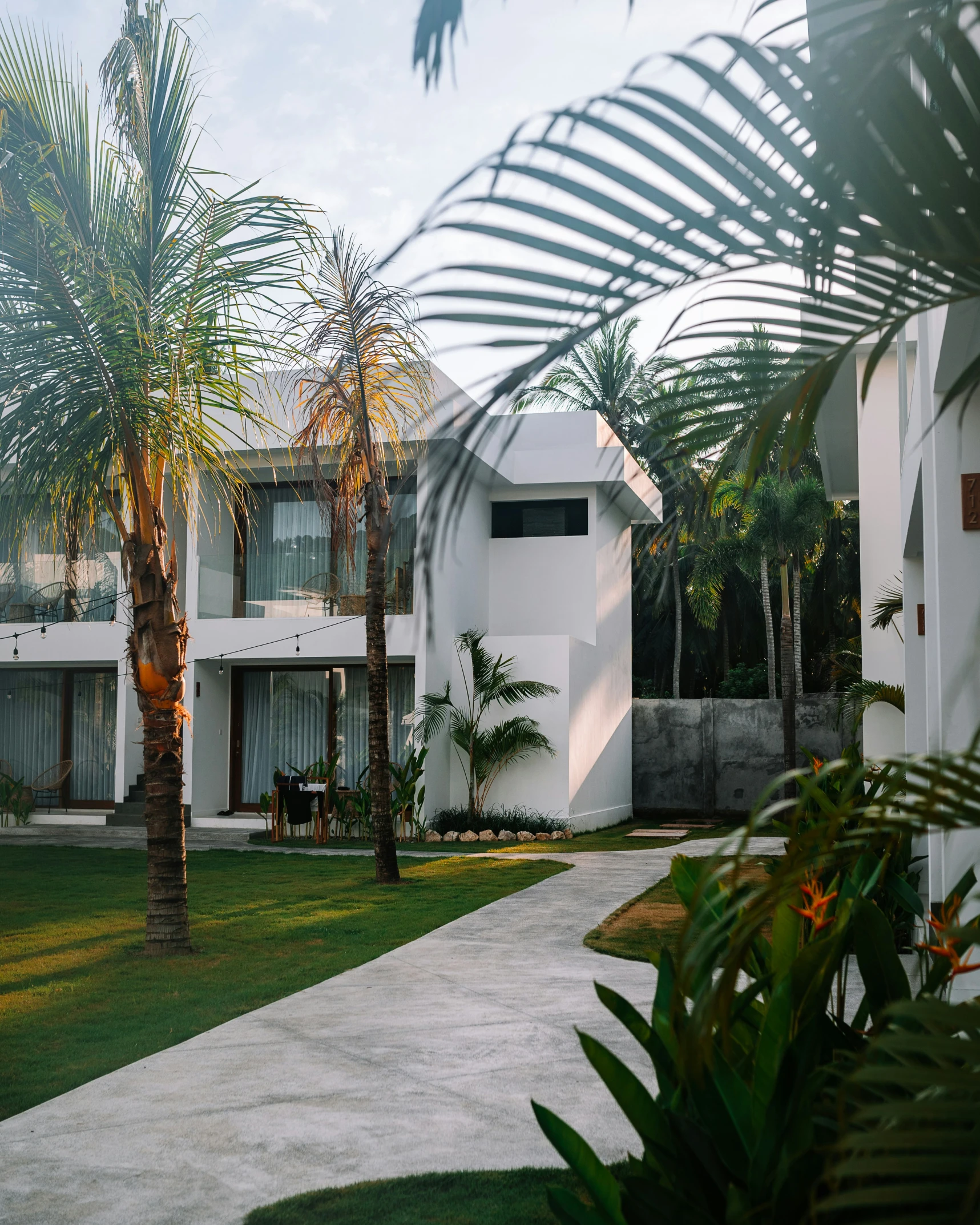 a house with lots of palm trees in the yard