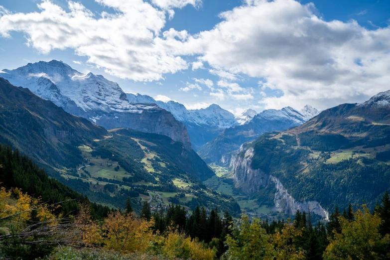 the mountain valley has many trees in it