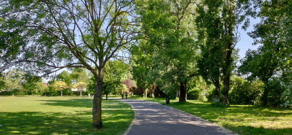 a road is surrounded by trees and grass