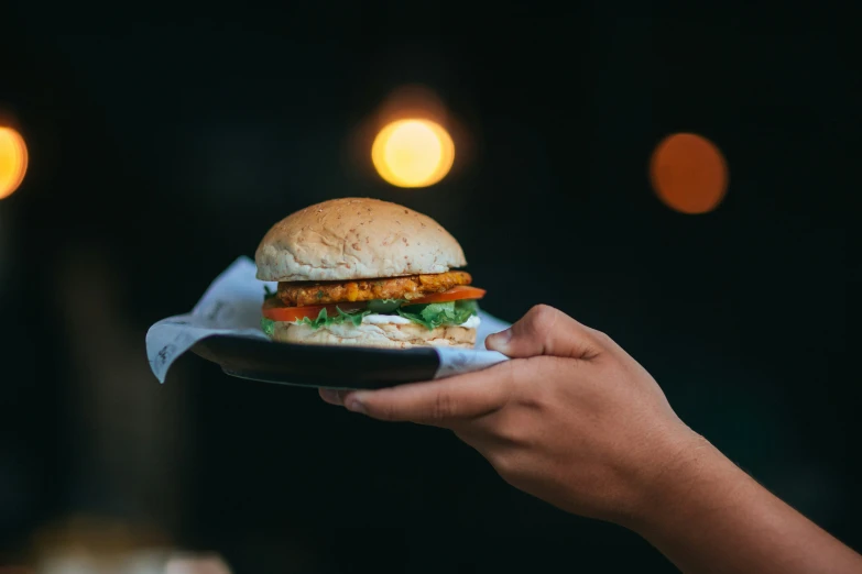 someone is holding a large plate with a sandwich on it