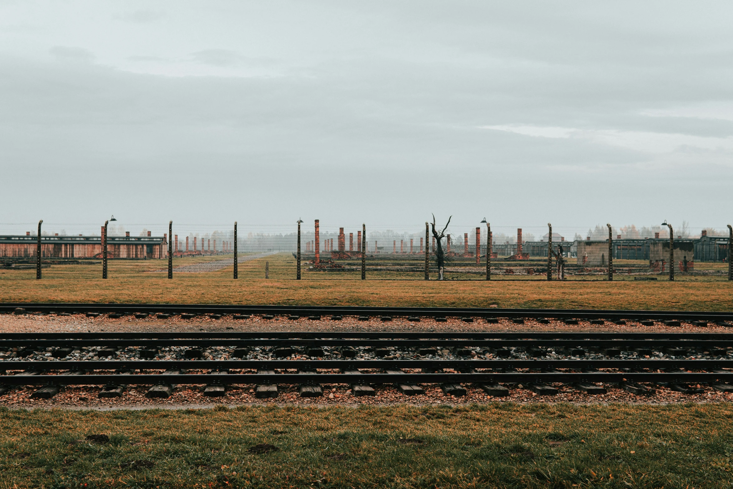 train tracks, some empty and others not moving