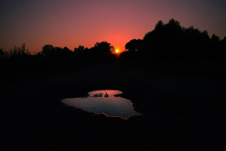 the sunset is reflecting the silhouette of some trees