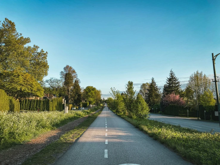 an empty road that is surrounded by trees and shrubs