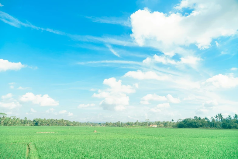 there is a green field with some clouds in the sky