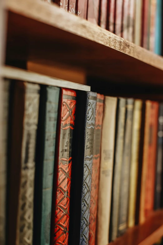 some books are sitting on the shelves in a book shop