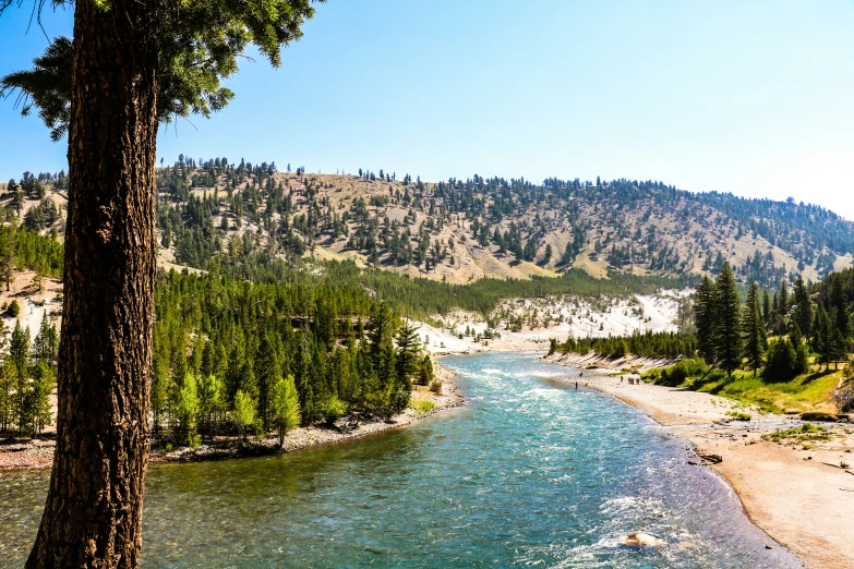 a view of a river with rocks and trees along the side