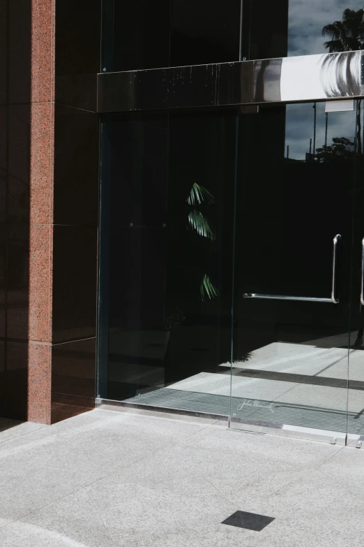 a street scene with focus on a building and plants