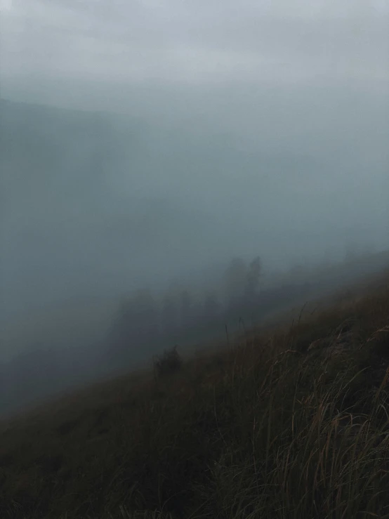 a person standing on top of a hill with a umbrella