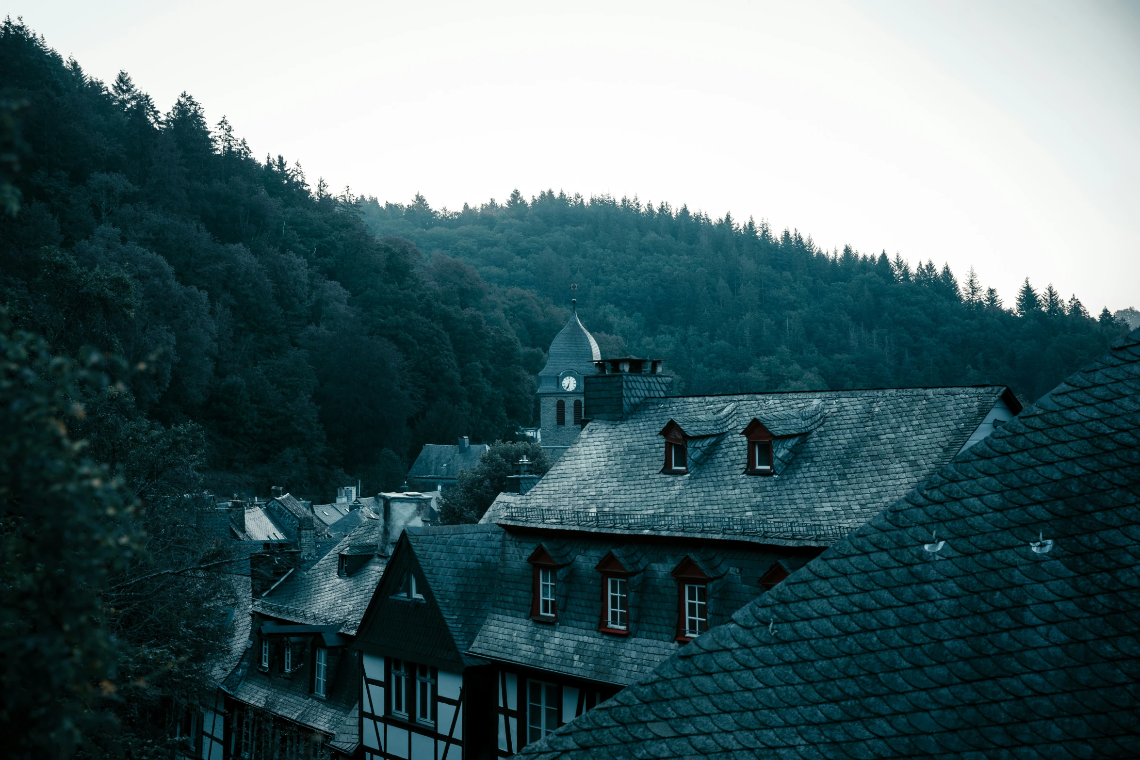 the rooftops on this old building are dark