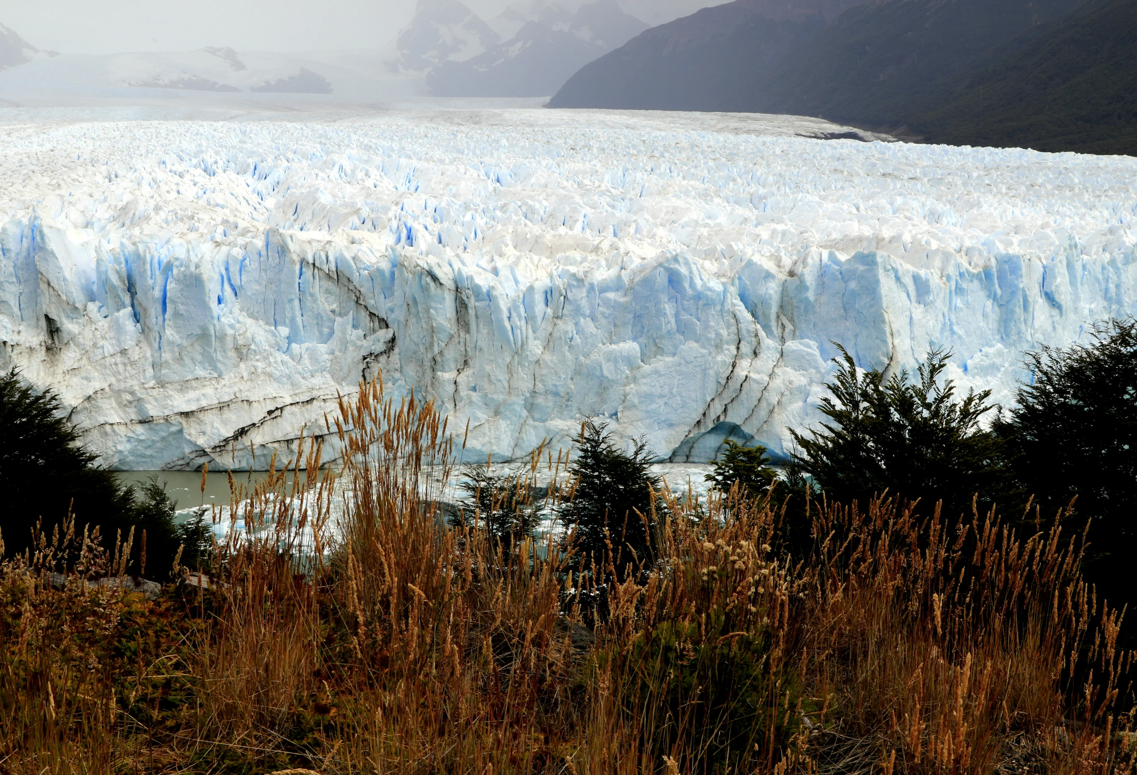 a big blue and white glacier that is in some grass