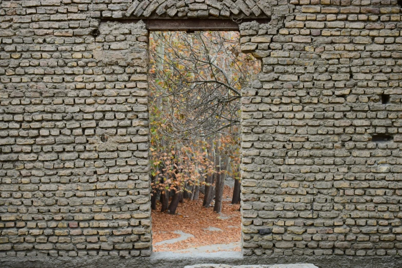 an image of a window with autumn trees reflected in the brick wall