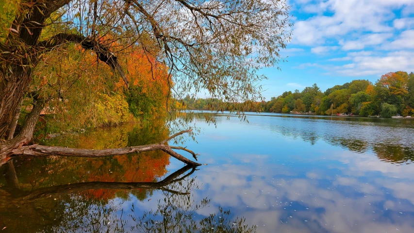 a lake surrounded by trees with leaves in autumn