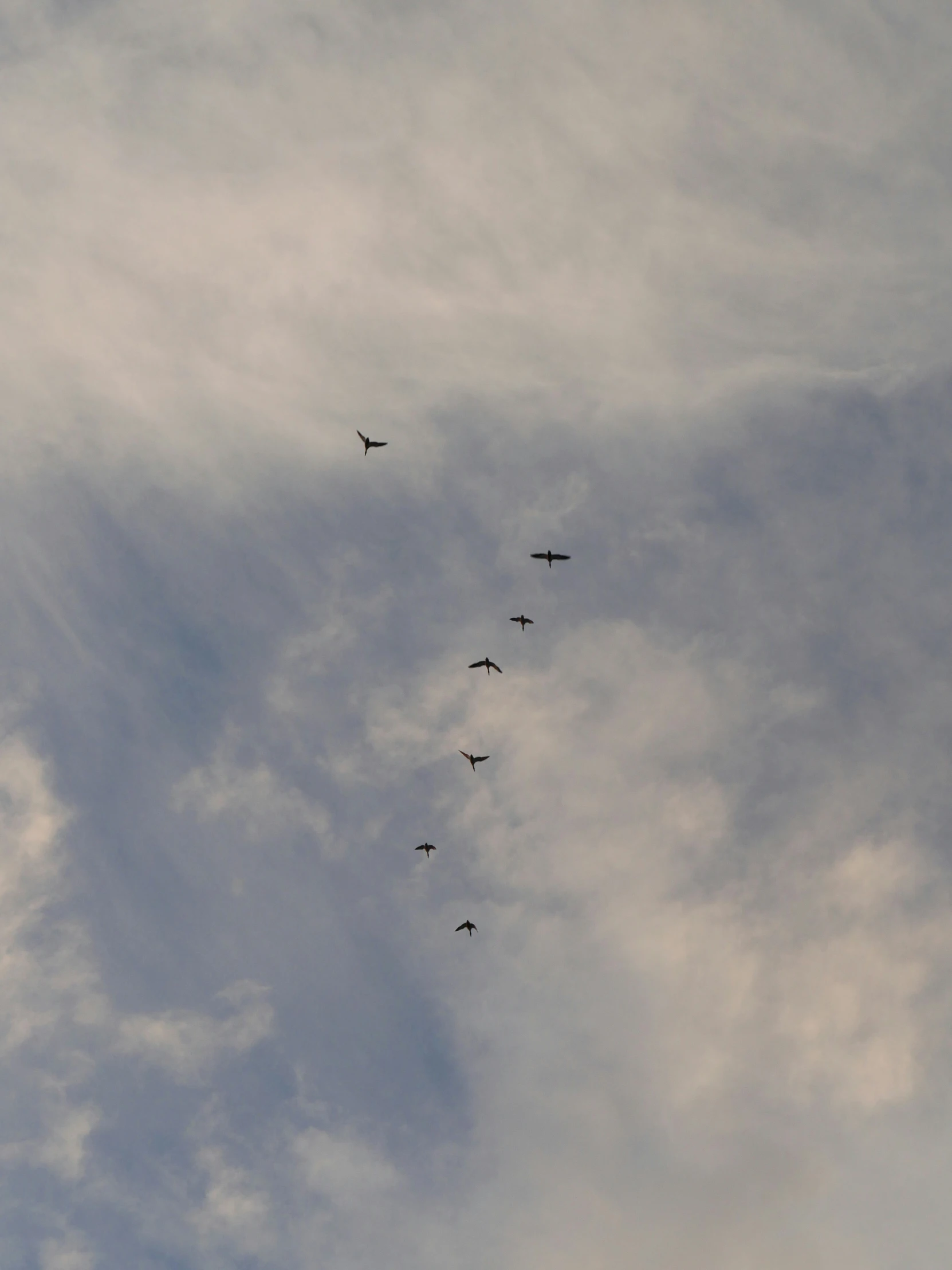 a formation of airplanes fly through the clouds